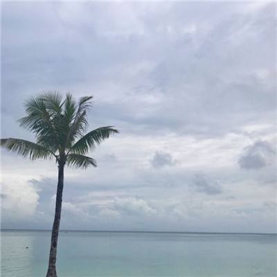 横行天下手游应用宝版下载