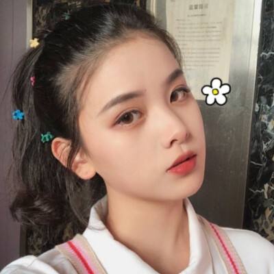 幼犬皮皮游戏